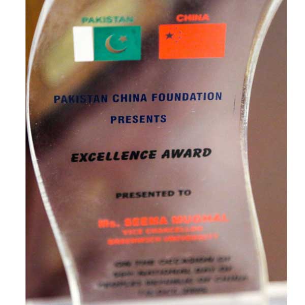 Excellence Award